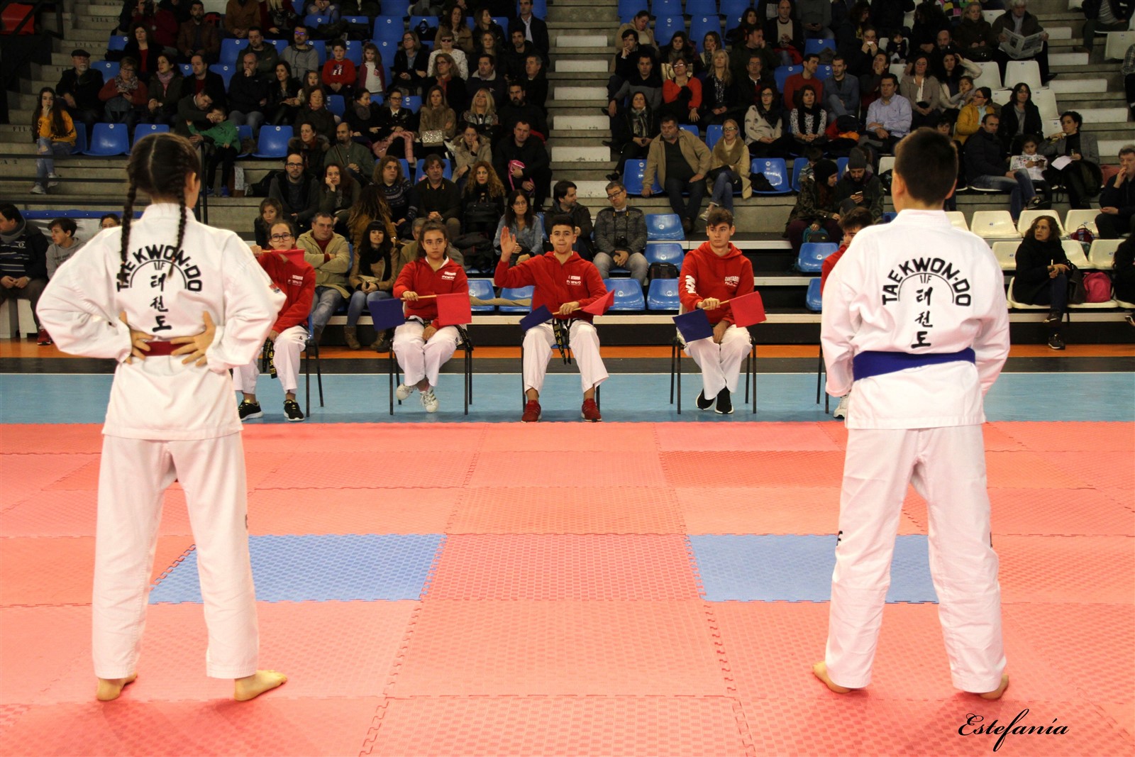 Taekwondo (169).jpg